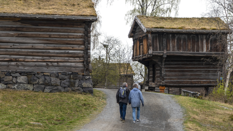 Tur i museet, toppbilde