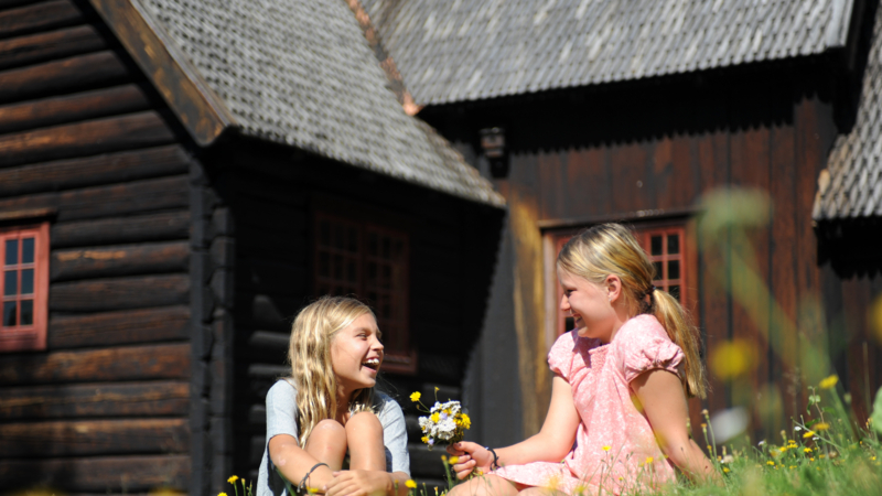 Activities for children in the summer