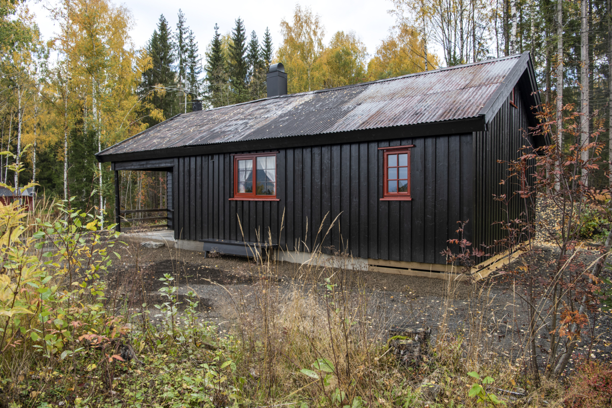 Mørkebrun hytte med rødmalte vinduer og bølgeblikktak.