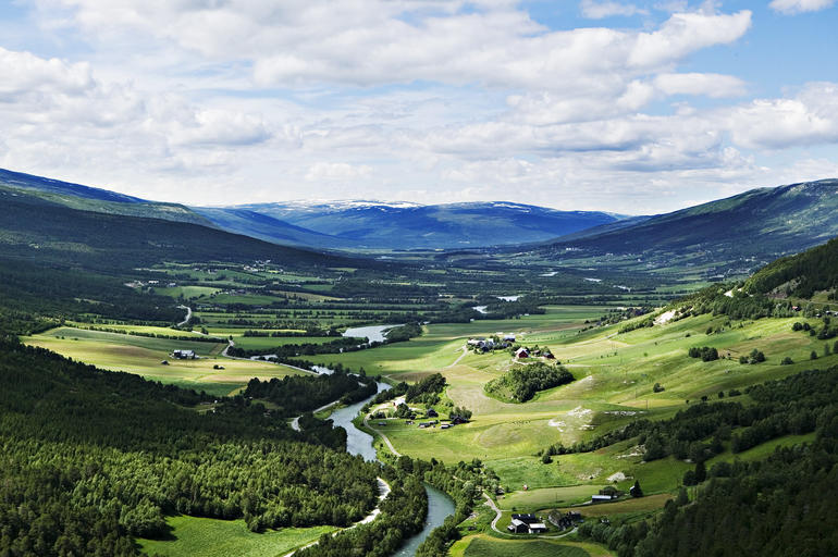 Utsikt fra Dalbakken i Lesja. Foto Benedikte Skarvik